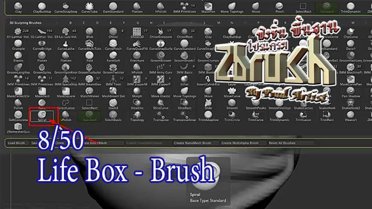 08-Life Box - Brush