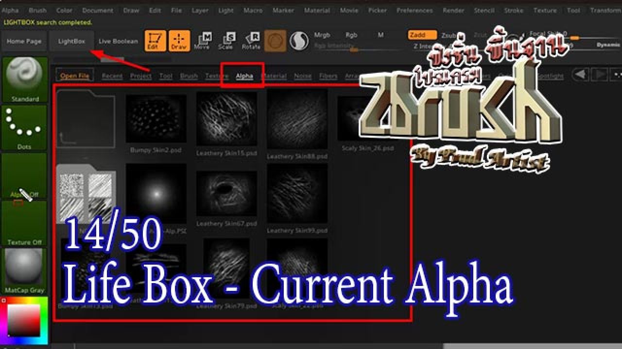 14-Life Box - Current Alpha